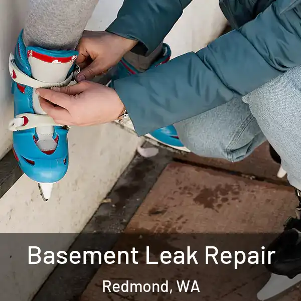  Basement Leak Repair Redmond, WA