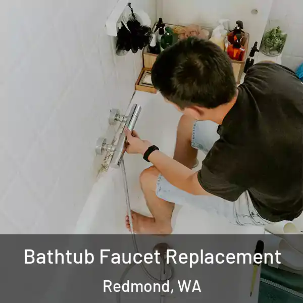  Bathtub Faucet Replacement Redmond, WA