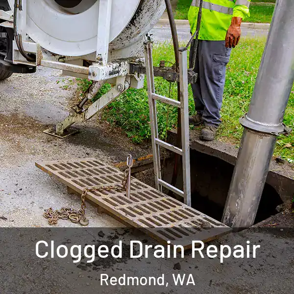  Clogged Drain Repair Redmond, WA