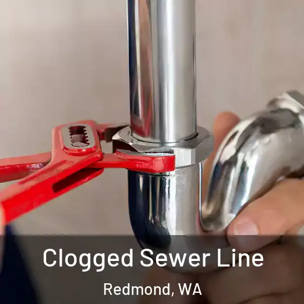  Clogged Sewer Line Redmond, WA