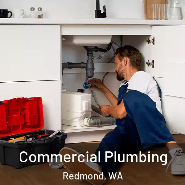  Commercial Plumbing Redmond, WA