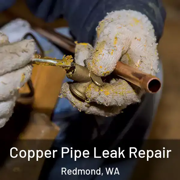  Copper Pipe Leak Repair Redmond, WA
