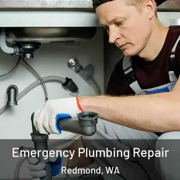  Emergency Plumbing Repair Redmond, WA