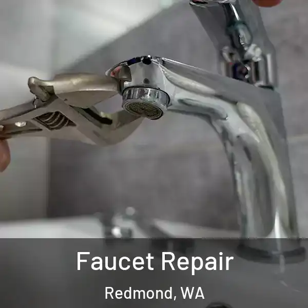  Faucet Repair Redmond, WA