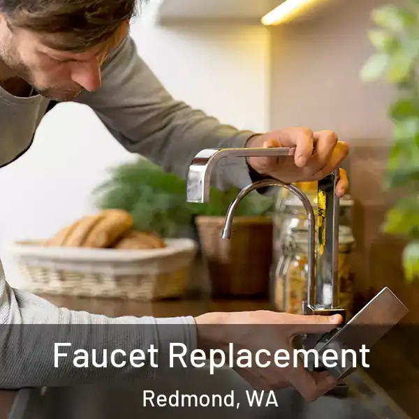  Faucet Replacement Redmond, WA