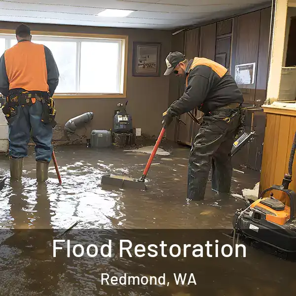  Flood Restoration Redmond, WA