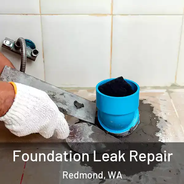  Foundation Leak Repair Redmond, WA