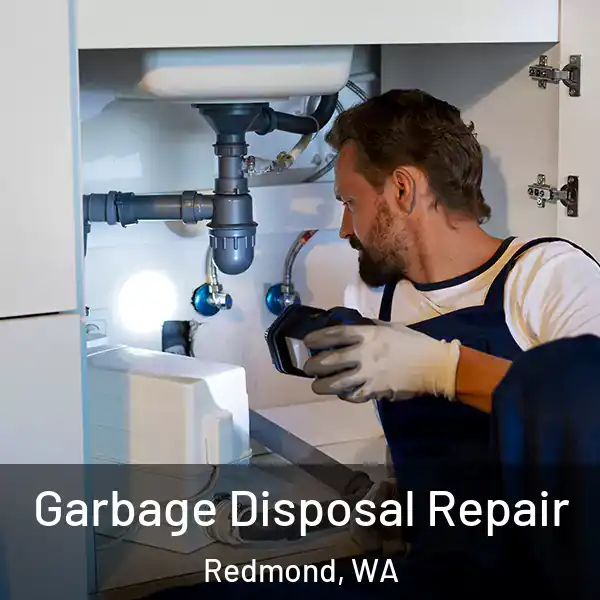  Garbage Disposal Repair Redmond, WA