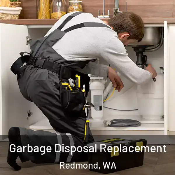  Garbage Disposal Replacement Redmond, WA