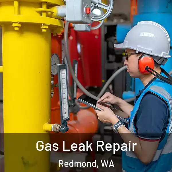  Gas Leak Repair Redmond, WA