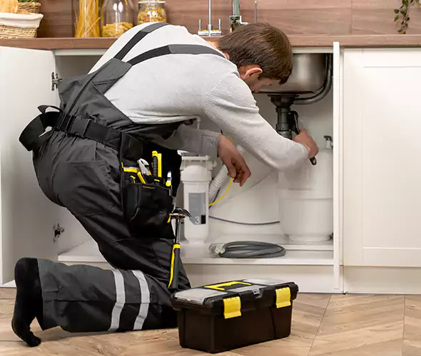 Certified Plumbers for Insinkerator Installation in Redmond