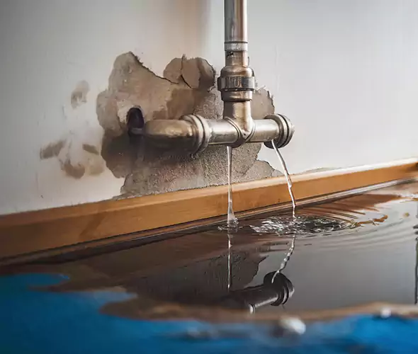 Professional Water Damage Restoration Experts in Redmond, WA — Fast, Reliable & Certified