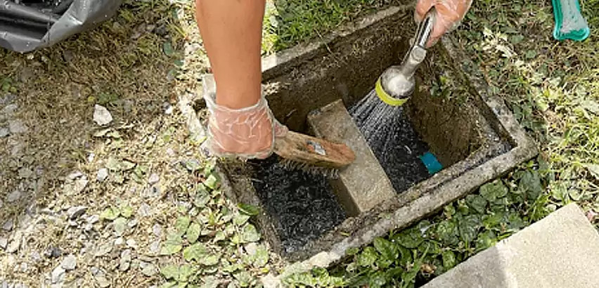 Professional Grease Trap Cleaning Services in Redmond, WA