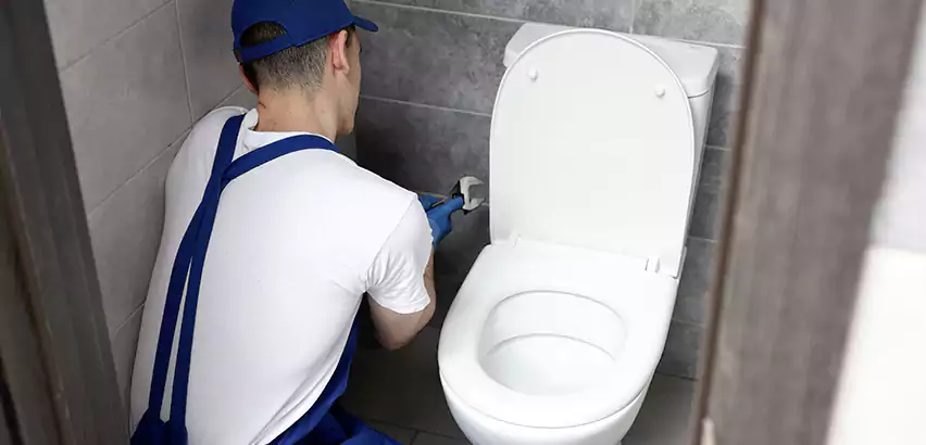 Toilet Lid Replacement in Redmond