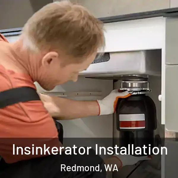  Insinkerator Installation Redmond, WA