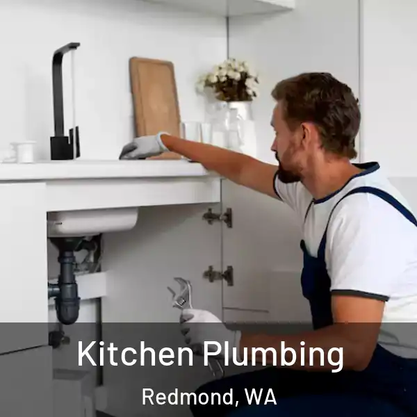  Kitchen Plumbing Redmond, WA