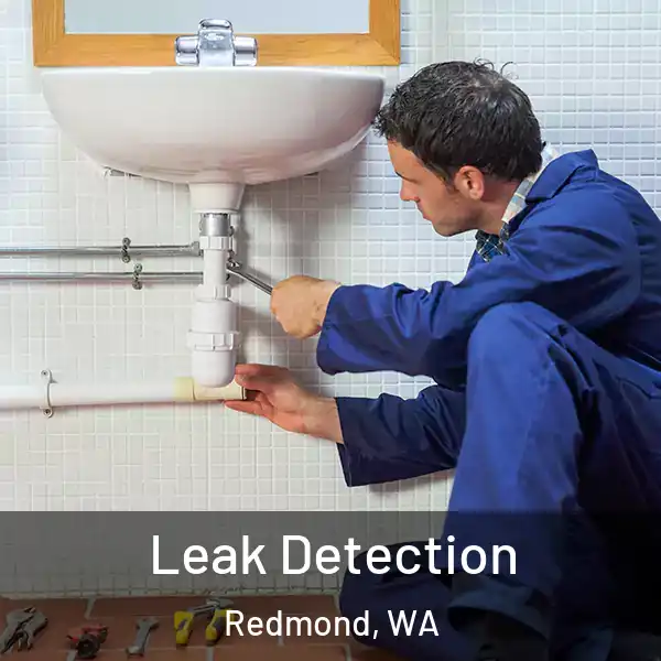  Leak Detection Redmond, WA