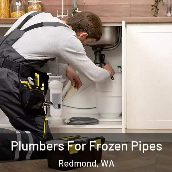  Plumbers For Frozen Pipes Redmond, WA
