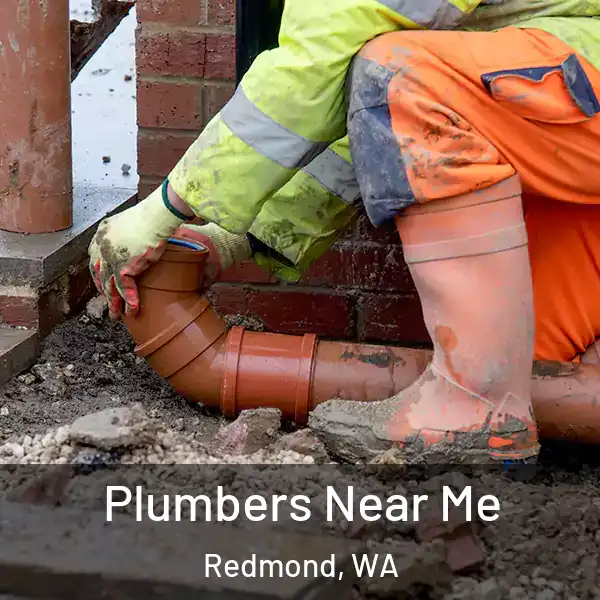  Plumbers Near Me Redmond, WA