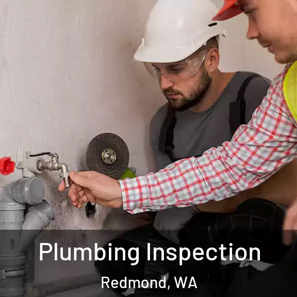  Plumbing Inspection Redmond, WA