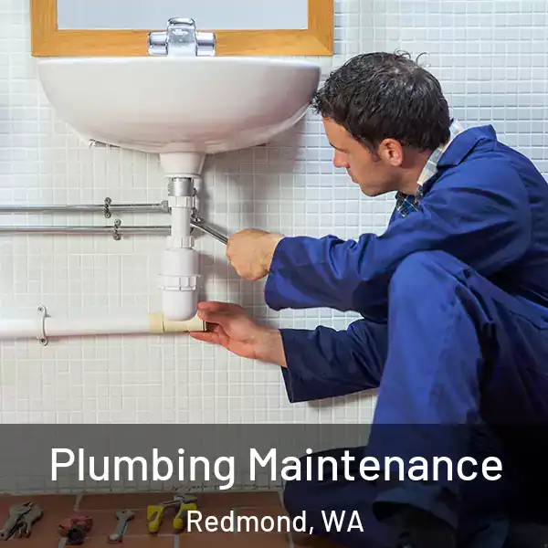  Plumbing Maintenance Redmond, WA