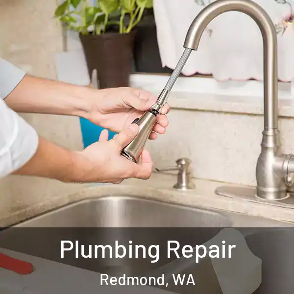  Plumbing Repair Redmond, WA