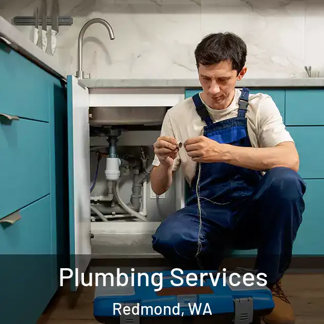  Plumbing Services Redmond, WA