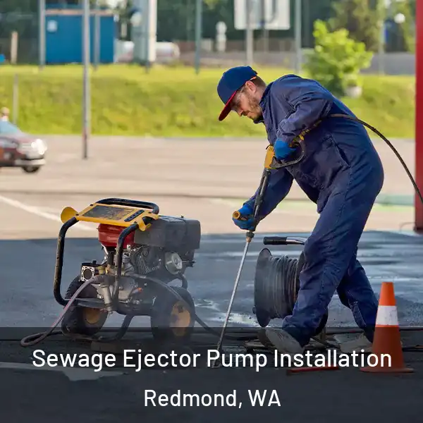  Sewage Ejector Pump Installation Redmond, WA