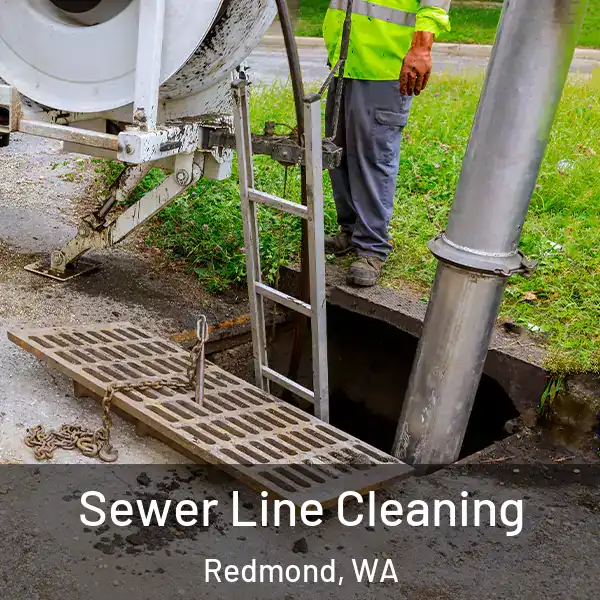  Sewer Line Cleaning Redmond, WA