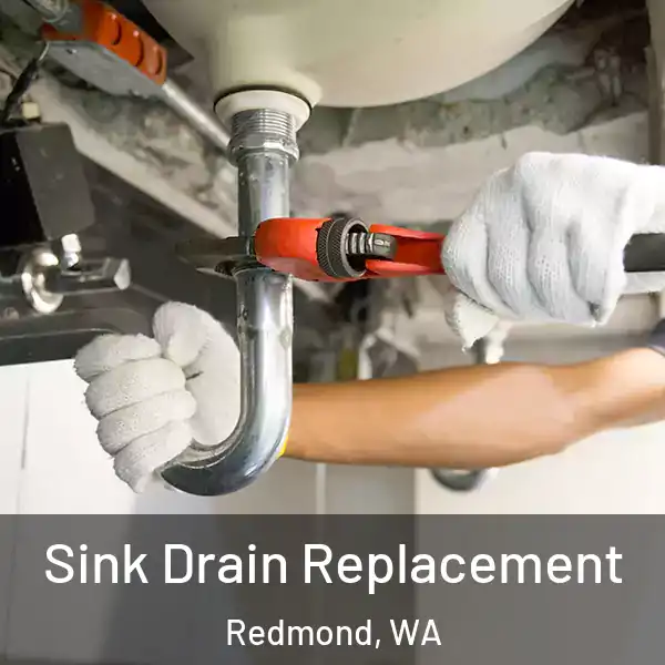  Sink Drain Replacement Redmond, WA