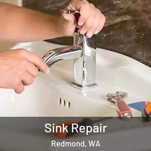  Sink Repair Redmond, WA