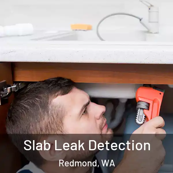  Slab Leak Detection Redmond, WA
