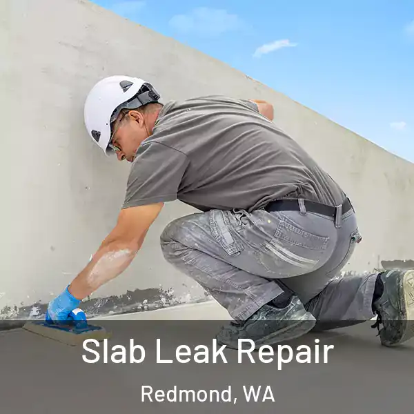  Slab Leak Repair Redmond, WA