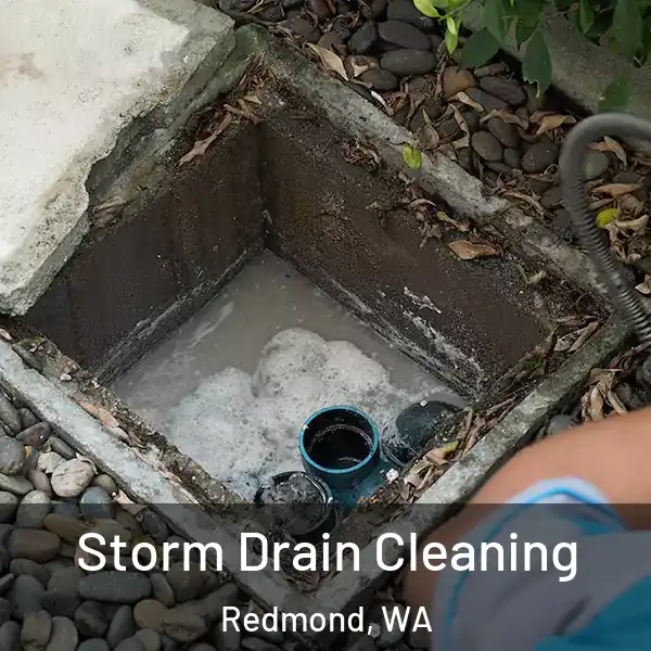 Storm Drain Cleaning Redmond, WA