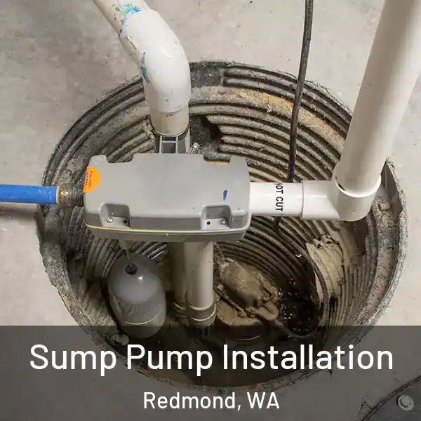  Sump Pump Installation Redmond, WA