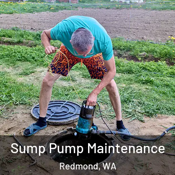  Sump Pump Maintenance Redmond, WA