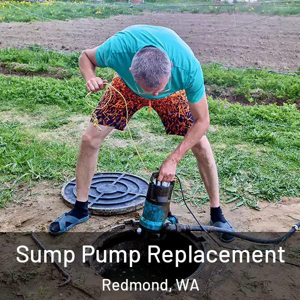  Sump Pump Replacement Redmond, WA