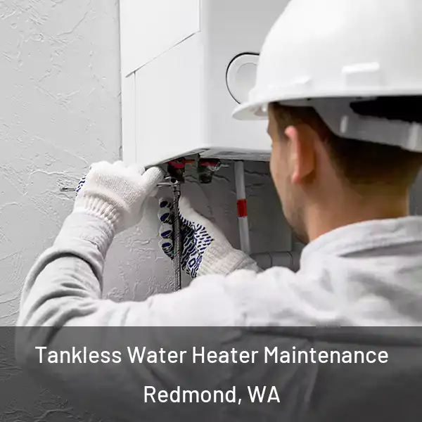  Tankless Water Heater Maintenance Redmond, WA