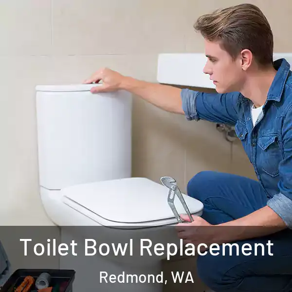  Toilet Bowl Replacement Redmond, WA
