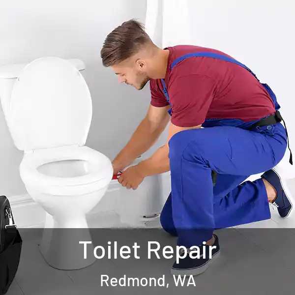  Toilet Repair Redmond, WA
