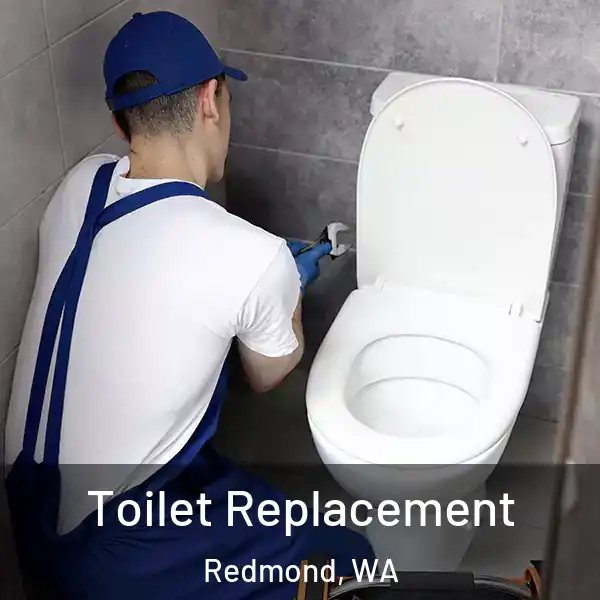  Toilet Replacement Redmond, WA