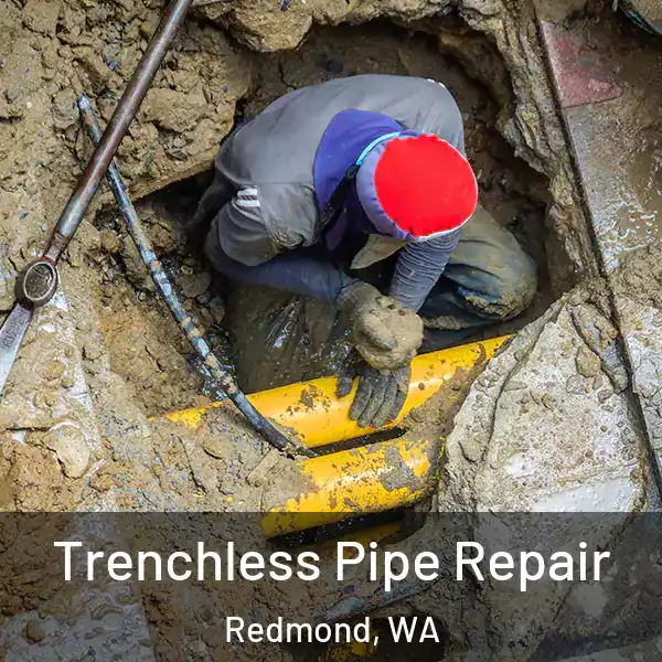  Trenchless Pipe Repair Redmond, WA