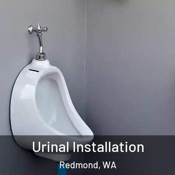  Urinal Installation Redmond, WA