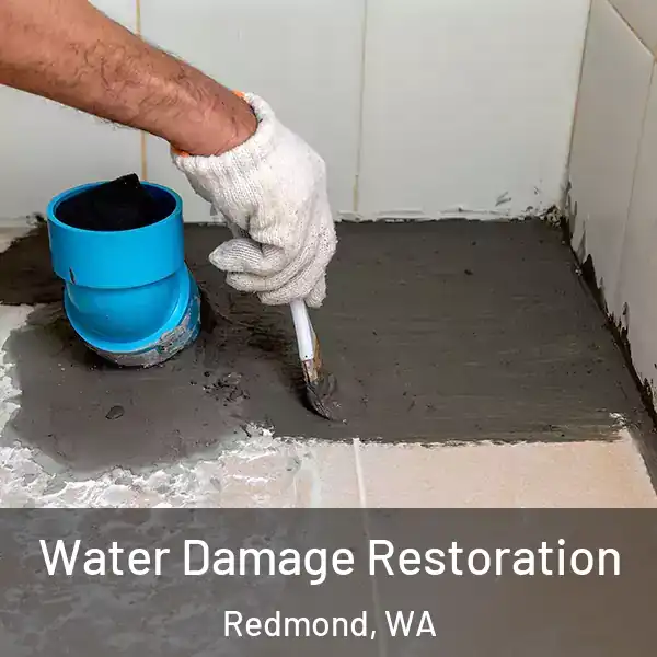  Water Damage Restoration Redmond, WA