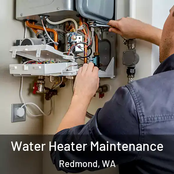  Water Heater Maintenance Redmond, WA