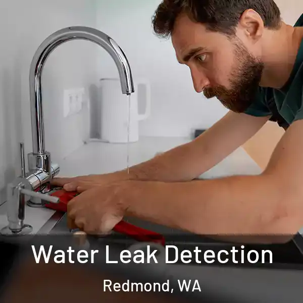  Water Leak Detection Redmond, WA