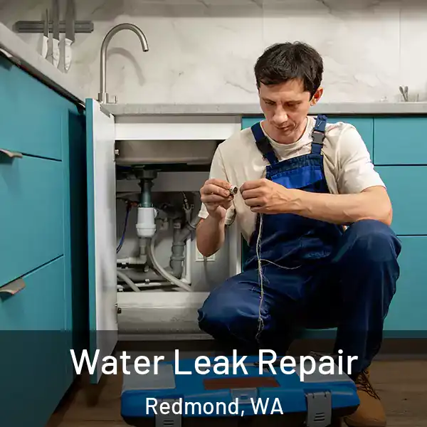  Water Leak Repair Redmond, WA