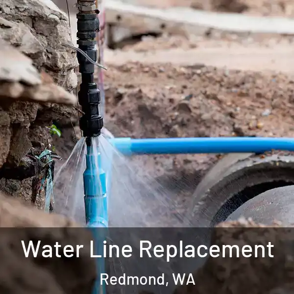  Water Line Replacement Redmond, WA