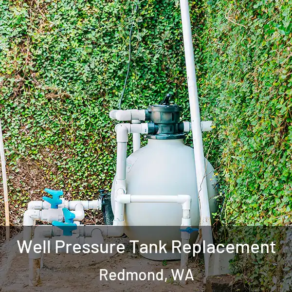  Well Pressure Tank Replacement Redmond, WA