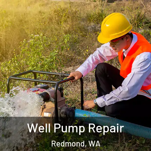  Well Pump Repair Redmond, WA